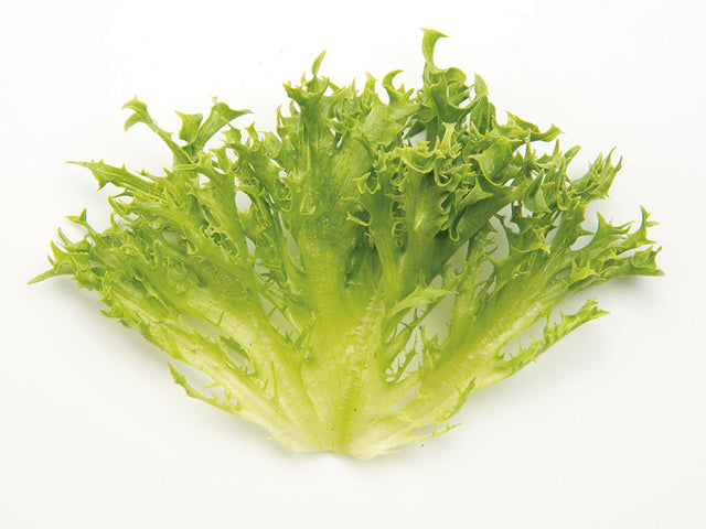 Lettuce Green Reef - Saanich Organics