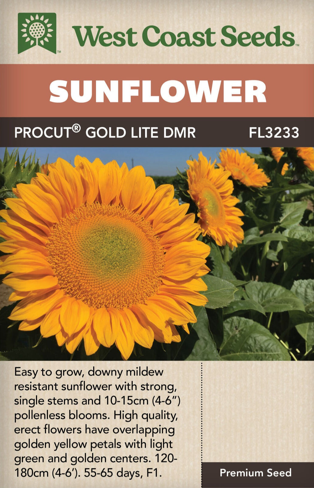 Sunflower ProCut Gold Lite DMR - West Coast Seeds – Wildwood