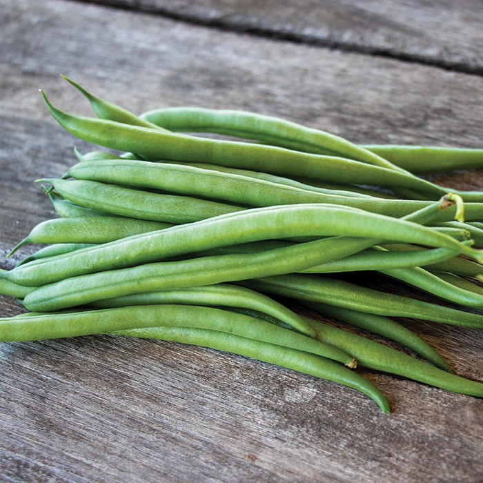 Bean Serengeti Fliet - Pacific Northwest Seeds
