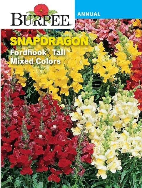 Snapdragon Fordhook Mix - Burpee Seeds