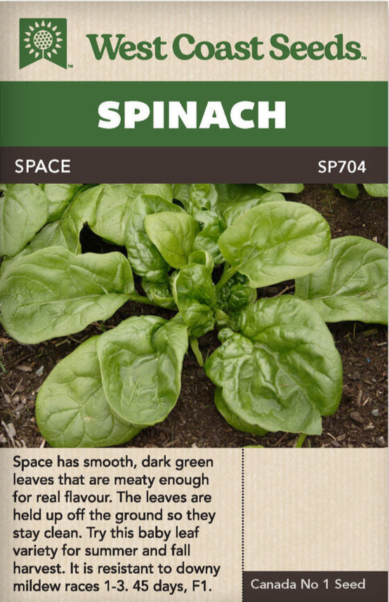 Spinach Space - West Coast Seeds