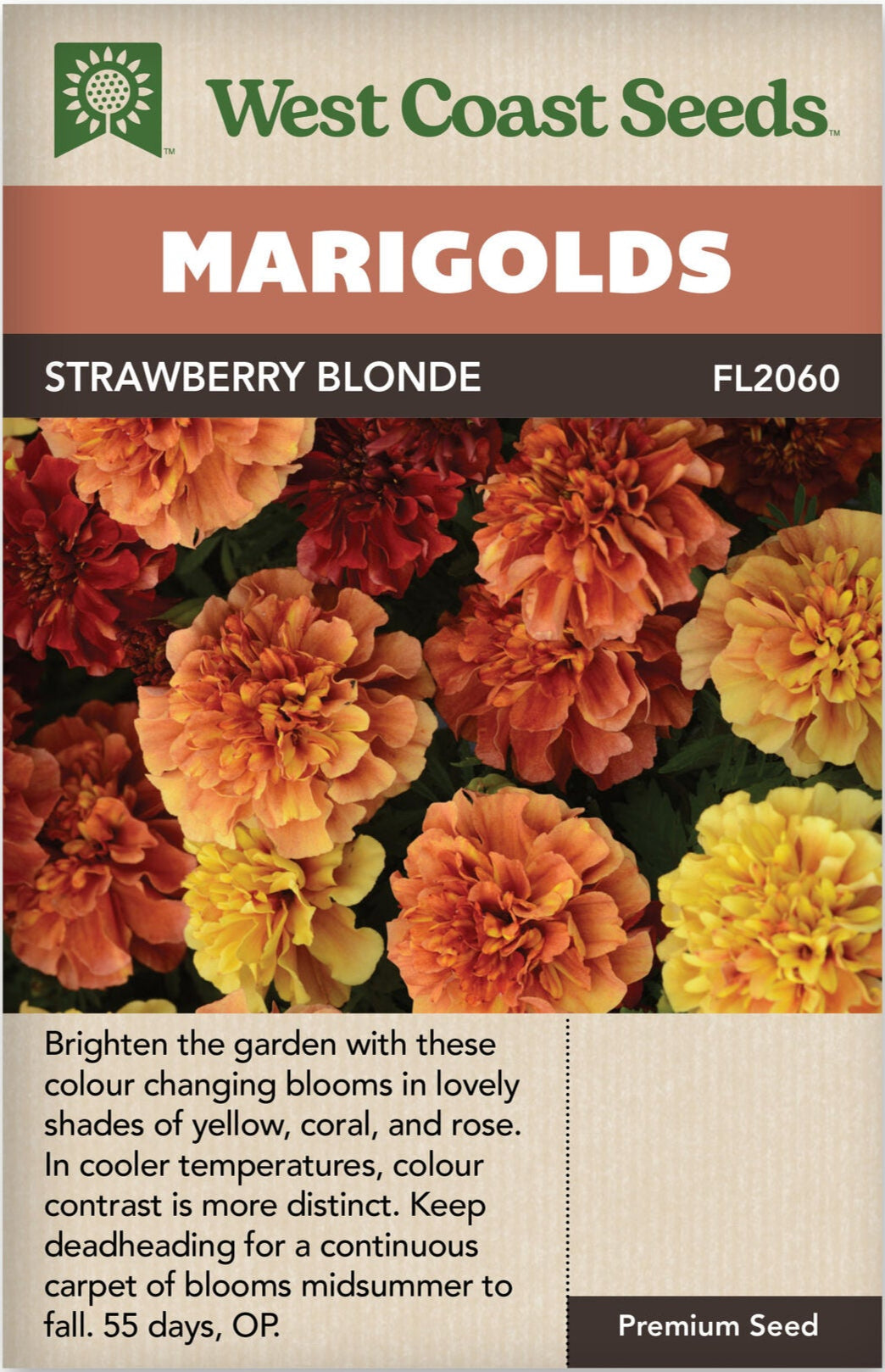 Marigold Strawberry Blonde - West Coast Seeds  Wildwood Outdoor Living