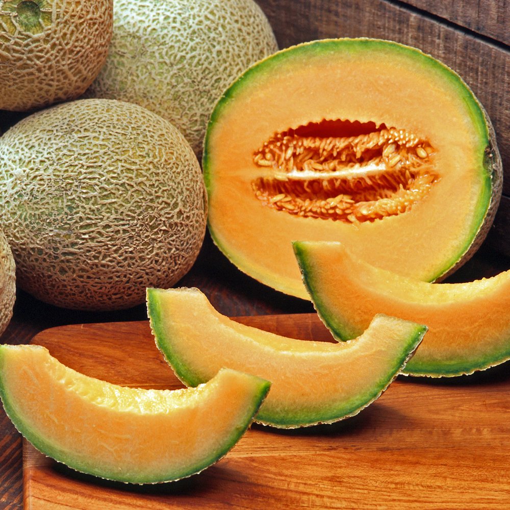 Cantaloupe Hale's Best - Ontario Seed Company