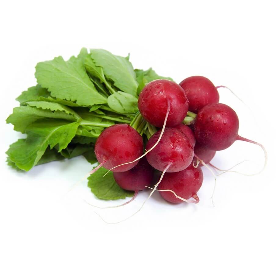 Radish Scarlet Globe - Ontario Seed Company