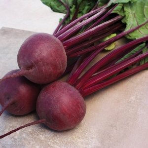 Beet Kestrel Hybrid - Ontario Seed Company
