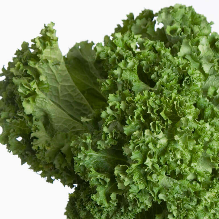 Mustard Greens Southern Giant Curled - Ontario Seed Company