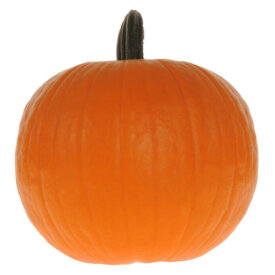 Pumpkin Neon Hybrid - Ontario Seed Company