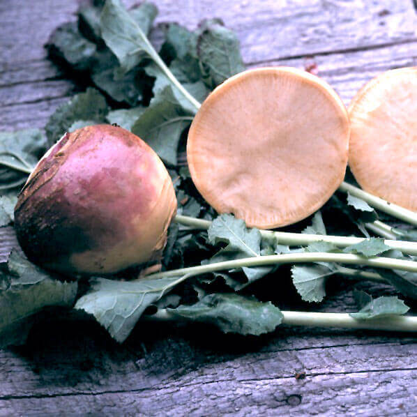 Rutabaga Laurentian - Ontario Seed Company