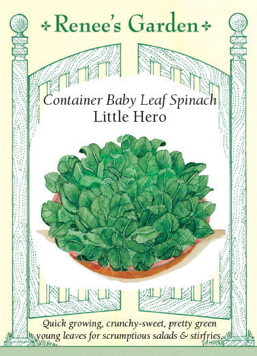 Spinach Little Hero - Renee's Garden