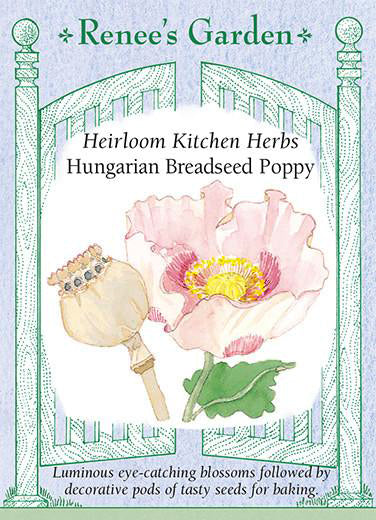 Poppy Hungarian Breadseed - Renee's Garden