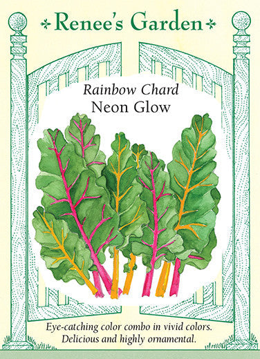 Chard Neon Glow - Renee's Garden
