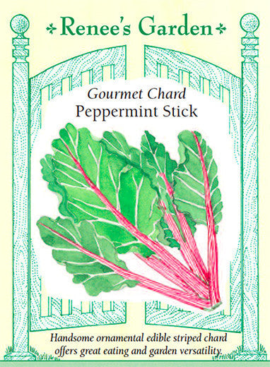 Chard Peppermint Stick - Renee's Garden