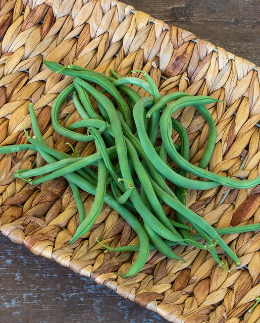Pole Bean Lazy Housewife - West Coast Seeds