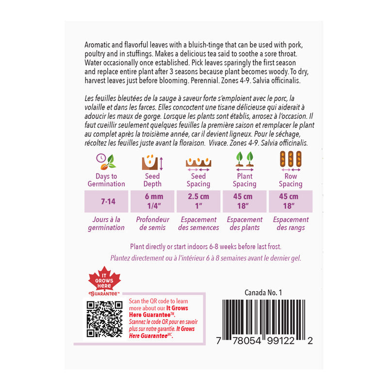 Sage - McKenzie Seeds