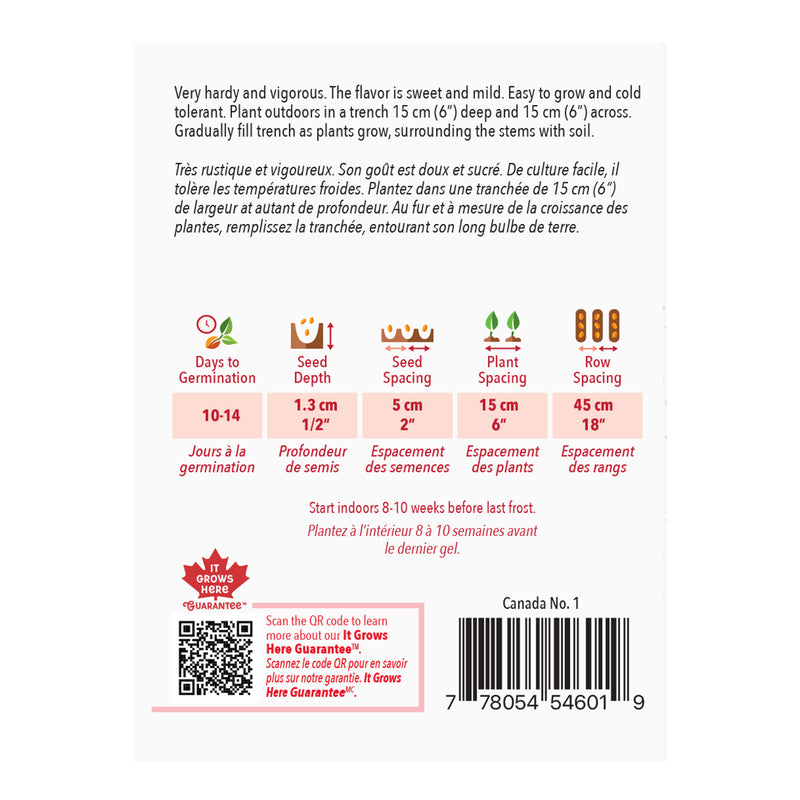 Leek Monstrous Carentan - McKenzie Seeds