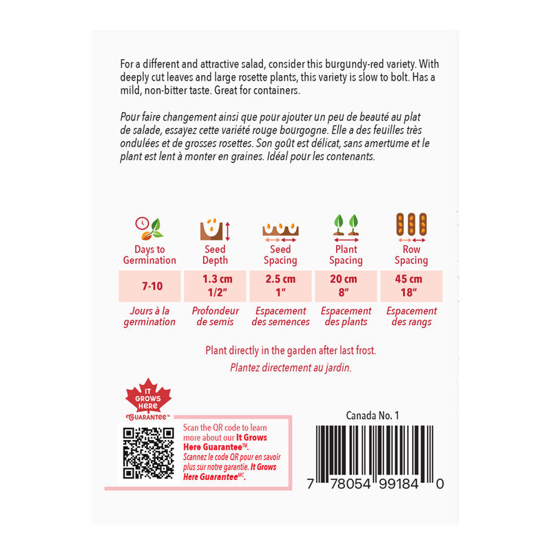 Lettuce Red Salad Bowl - McKenzie Seeds