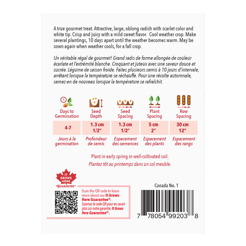 Radish French Breakfast - McKenzie Seeds