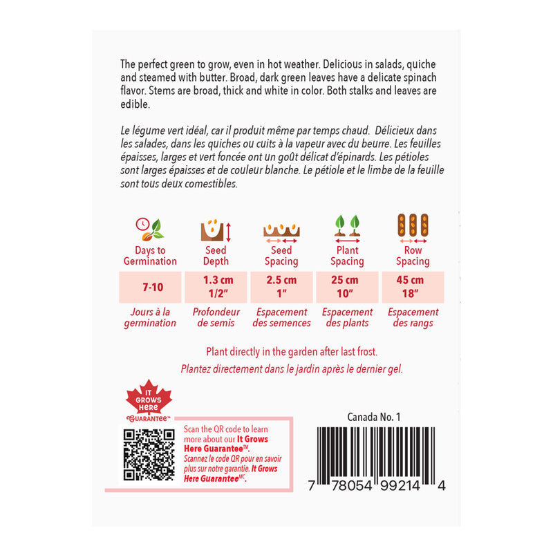 Swiss chard Fordhook Giant - McKenzie Seeds