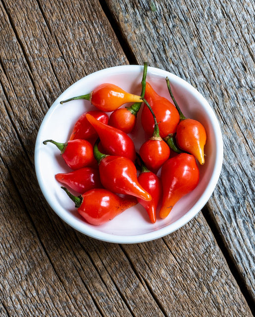 Pepper Biquinho Red - West Coast Seeds