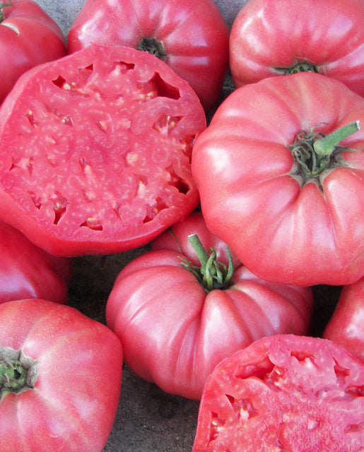 Organic Tomato Pink Brandywine - West Coast Seeds