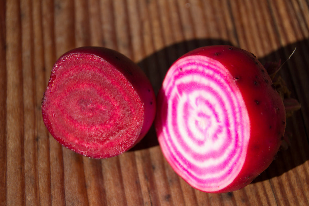 Beet Solids and Stripes - Salt Spring Seeds