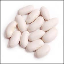 Bean Ruckle Dry Bush - Salt Spring Seeds