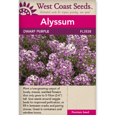 Alyssum Dwarf Purple - West Coast Seeds