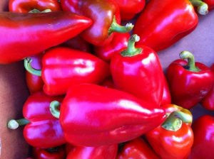 Pepper Apple Sweet Pimento - Salt Spring Seeds