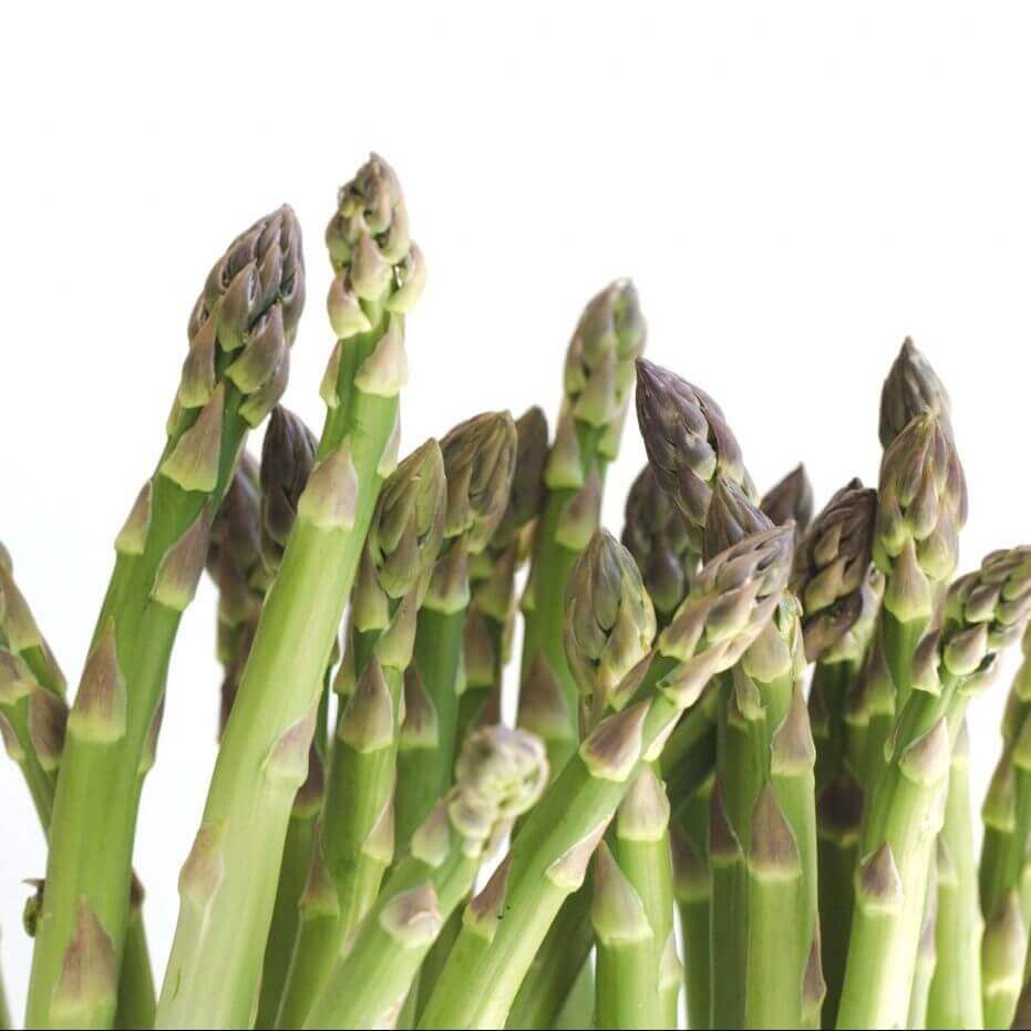 Asparagus Mary Washington - Ontario Seed Company