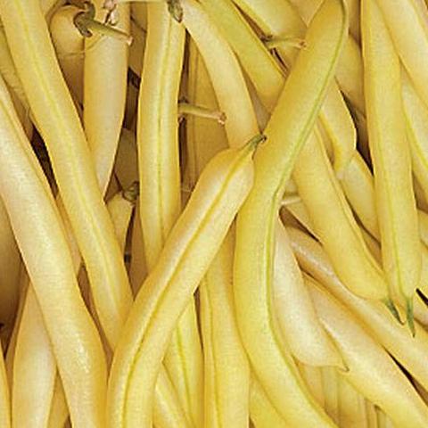Beans Honey Wax - Good Earth Farms