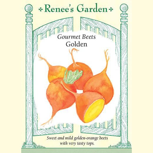 Beets Golden - Renee's Garden Seeds
