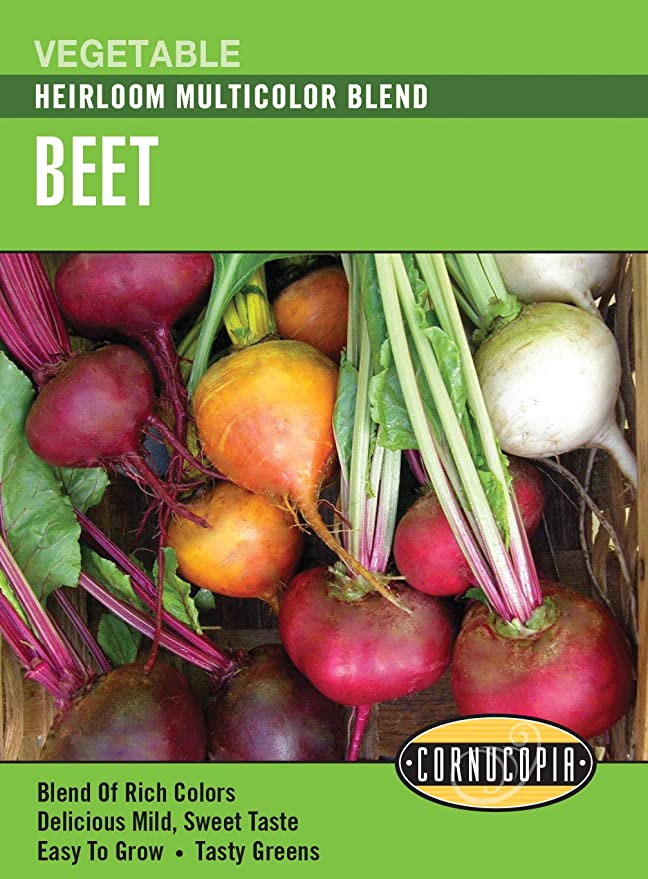 Beet Multicolor Blend - Cornucopia Seeds