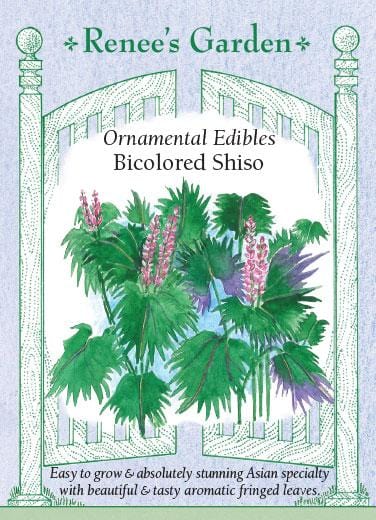 Shiso Bicolor - Renee's Garden – Wildwood Outdoor Living