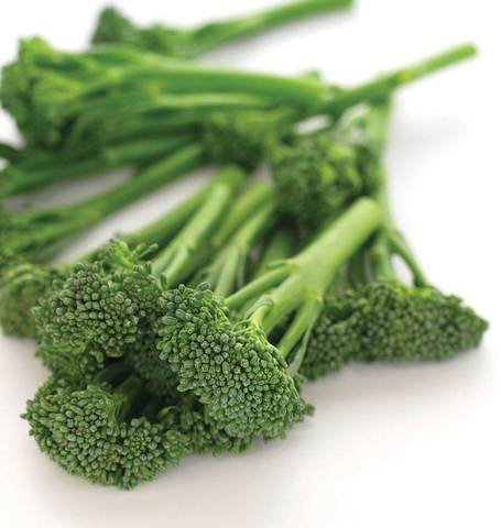 Broccoli Aspabroc Broccolini - West Coast Seeds