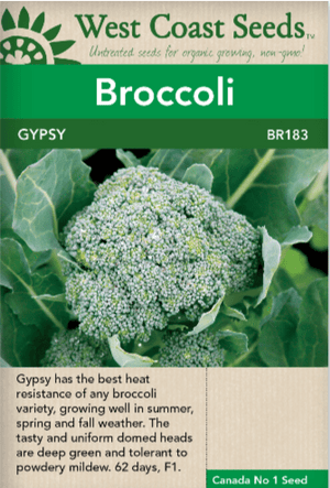 Broccoli Gypsy - West Coast Seeds