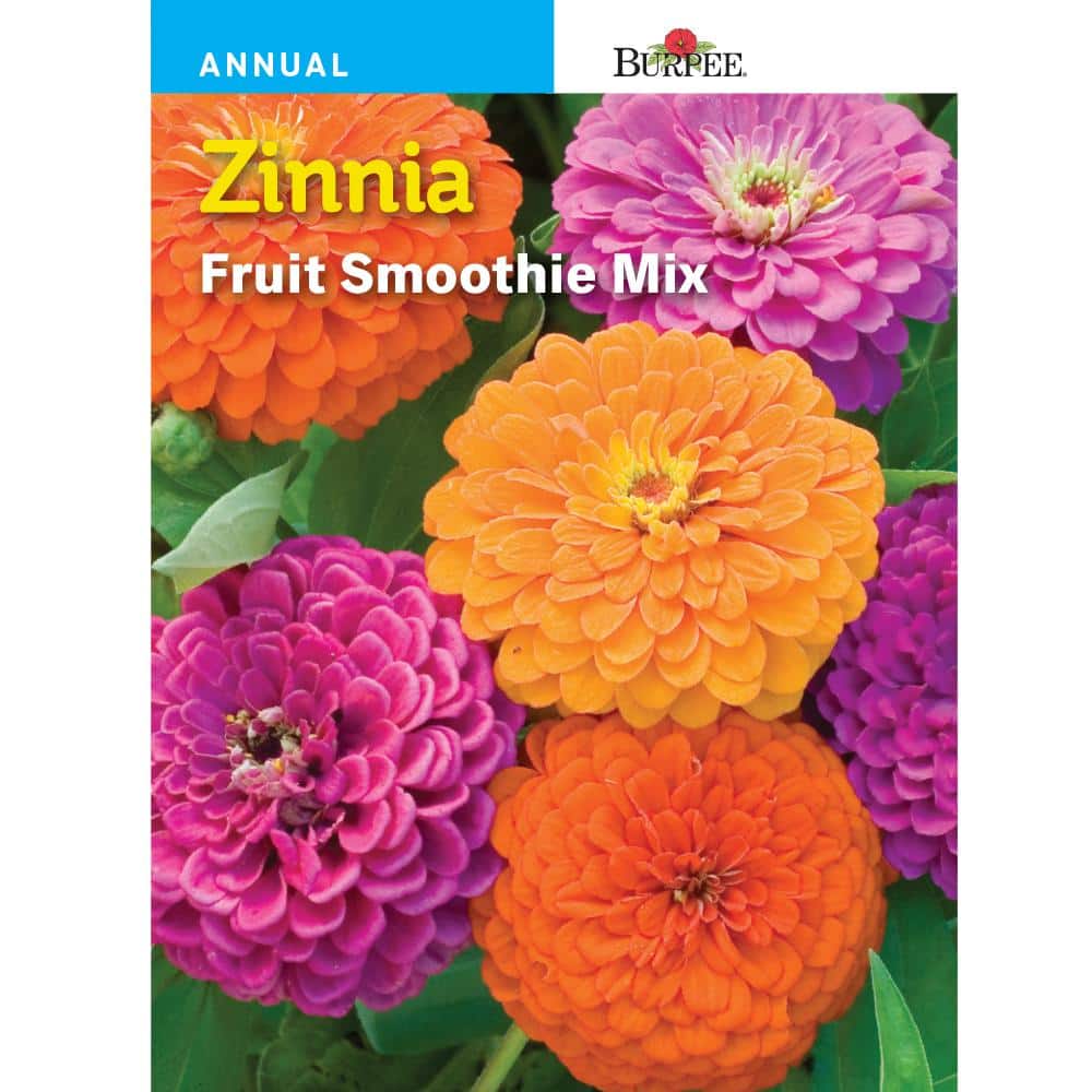 Zinnia Fruit Smoothie Mix - Burpee Seeds