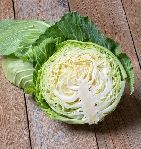 Cabbage Copenhagen Market - West Coast Seeds
