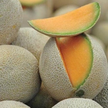 Melon Home Run - West Coast Seeds