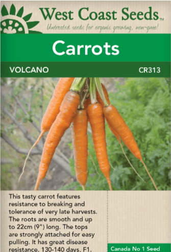 Carrots Volcano - West Coast Seeds