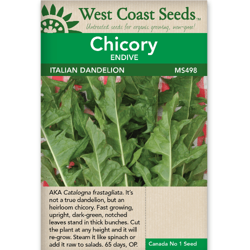 Endive Dandelion Italian - West Coast Seeds