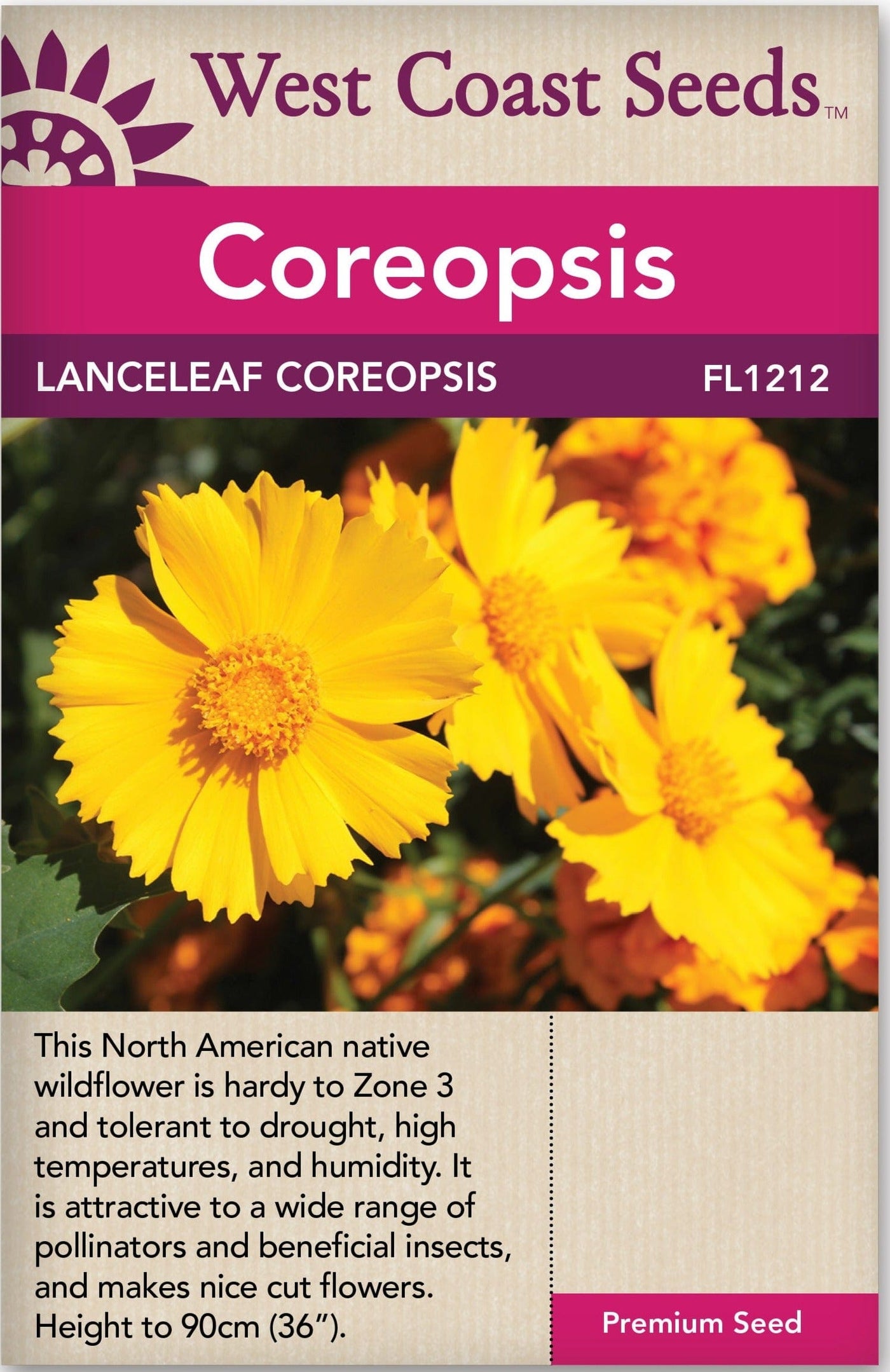 Coreopsis Lanceleaf - West Coast Seeds