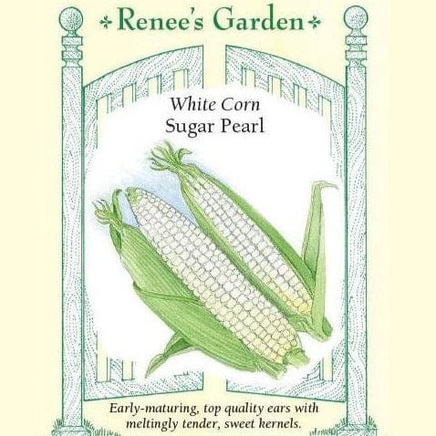 Corn Sugar Pearl - Renee's Garden Seeds