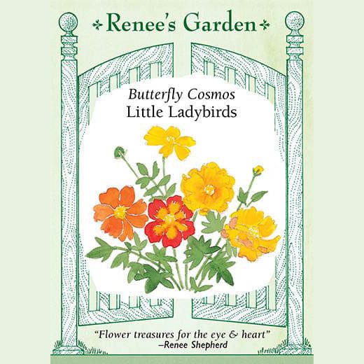 Cosmos Little Ladybirds - Renee's Garden