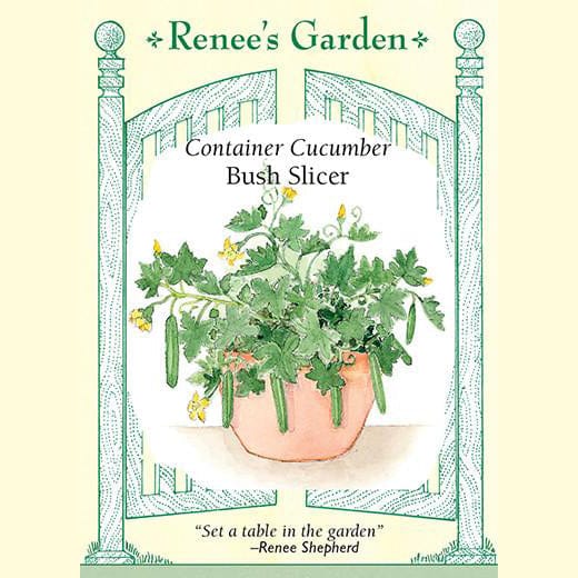 Renee's Garden 'Bush Slicer' Container Cucumber