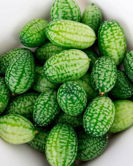 Cucumber Cucamelon - West Coast Seeds