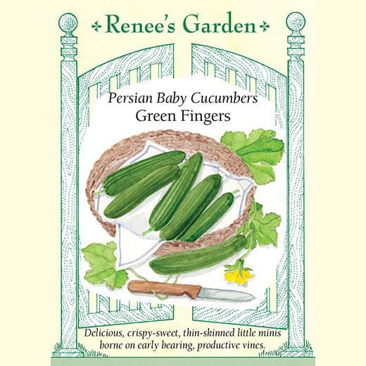 Cucumbers Green Fingers - Renee's Garden