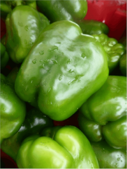 Pepper Encore - Ontario Seed Company
