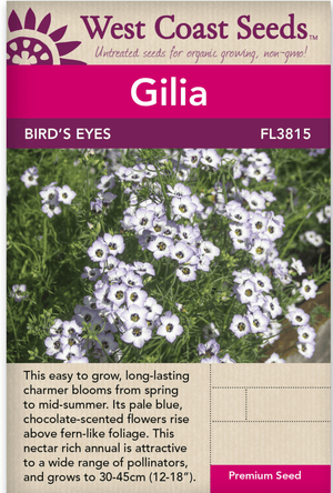 Gilia Bird's Eyes - West Coast Seeds
