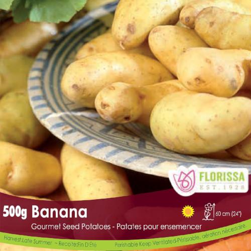 Gourmet Potatoes Banana