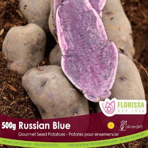 Gourmet Potatoes Russian Blue